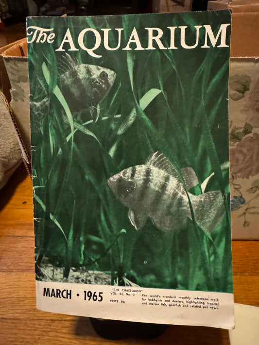 The Aquarium March 1965