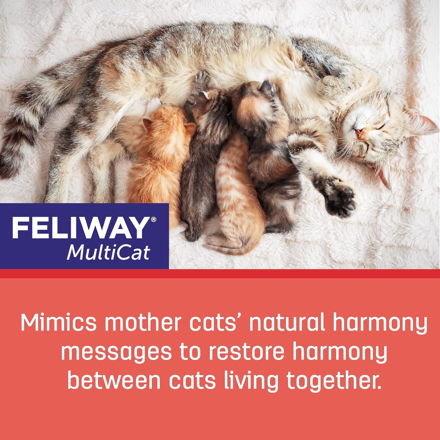 Feliway MultiCat 30day Refill 48ml