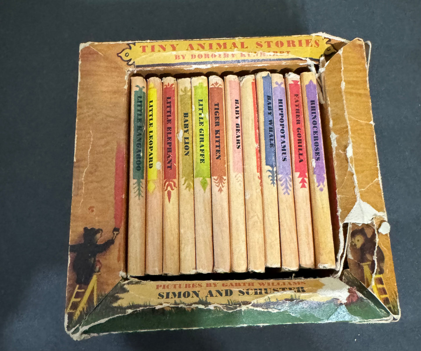 Tiny Animal Stories, 12 Volume Boxed. By Dorothy Kunhardt