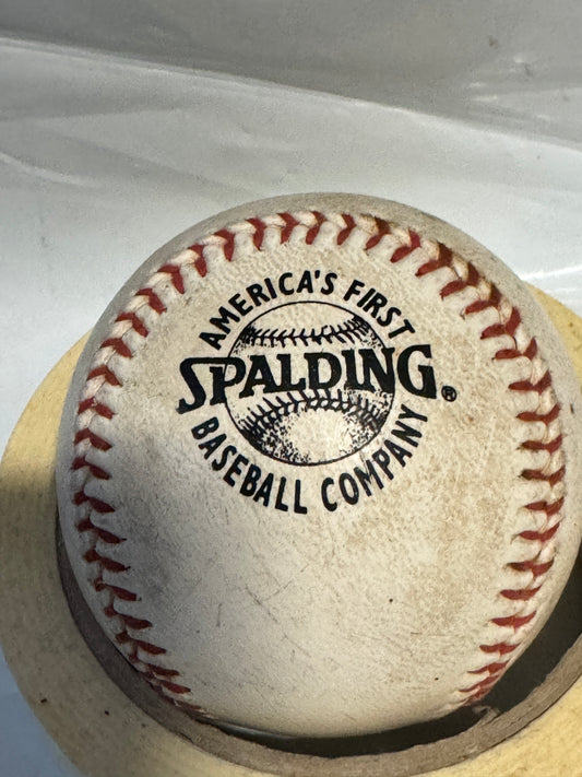 Spalding America's First Baseball Company, Official T-Ball USA