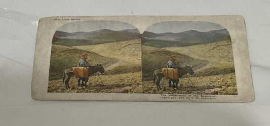 Stereoview The Wilderness of the Scapegoat Holy Lands 1904 Vintage