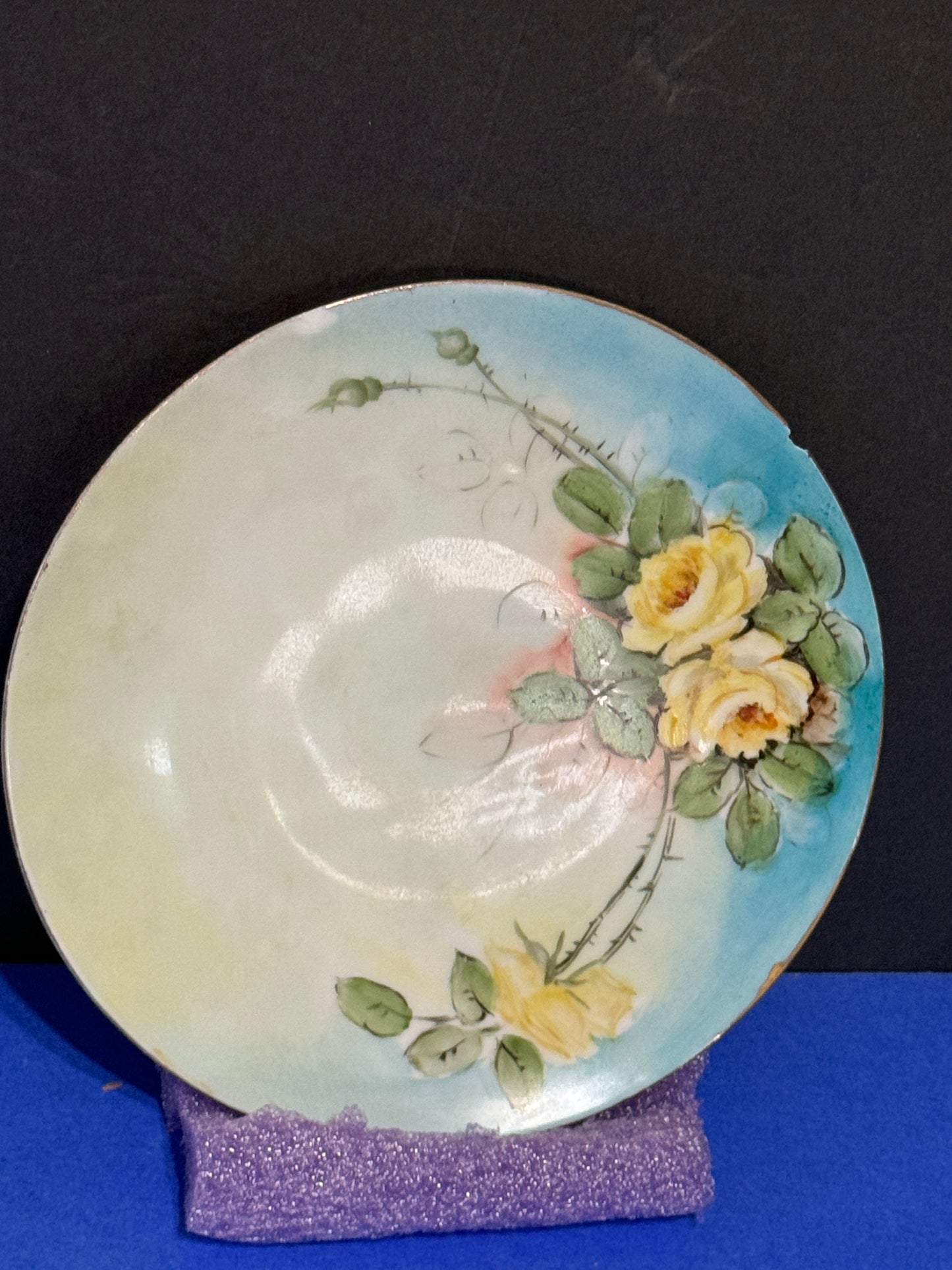 Hand Painted Floral Pattern Epiag, Pirken-Hammer 8  inch plate - Vintage