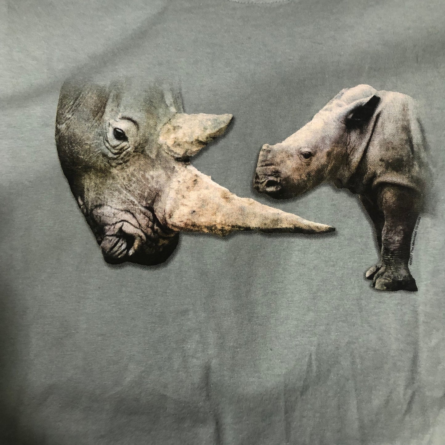 Mama Rhino and Calf - Mountain Graphic Tshirt - Short Sleeve