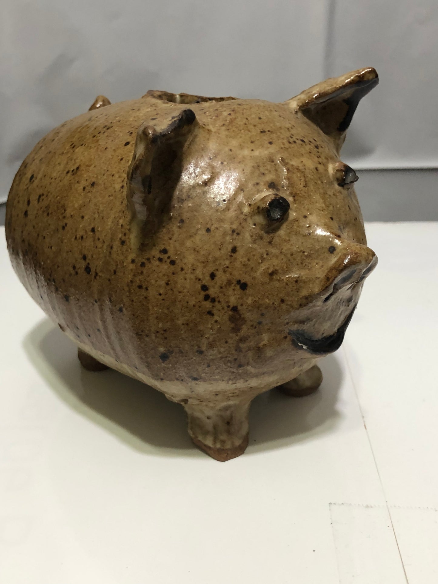 Ceramic Piggy Bank Speckled